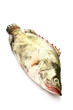 Raw fish