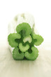 Celery