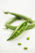 Photo: Green pea Green pea