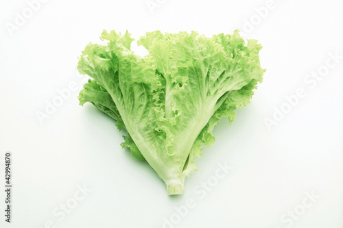 Photo: Lettuce Lettuce