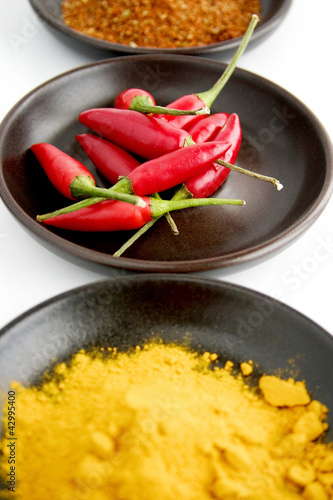 Photo: Red chillies and spices Red chillies and spices
