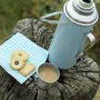 Vacuum flask and cookies on a tree stump