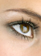 Eye of a woman