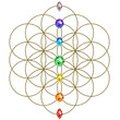 Blume des Lebens -  Chakren Regenbogen