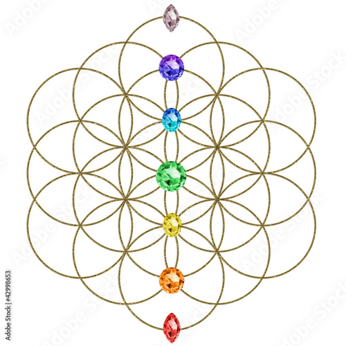 Illustration: Blume des Lebens - Chakren Regenbogen Blume des Lebens - Chakren Regenbogen
