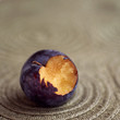 Close up of a bitten plum
