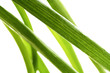 Vegetable