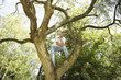 Teenage boy sitting on top of a tree
