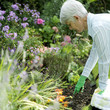 Senior woman doing yard work