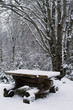 Winter scene
