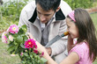 Man and girl planting flowers
