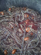 FILET_DE_PÊCHE_02
