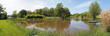 Pond