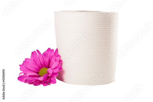 Photo: Toilet Paper with Pink Daisy Toilet Paper with Pink Daisy