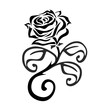 rose 6a