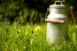 Milchkanne im Gras