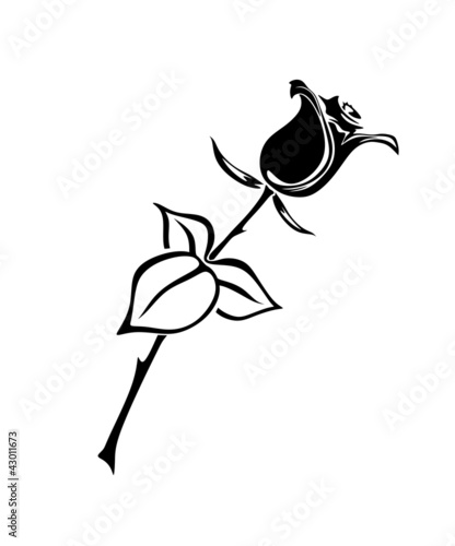 Vector: rose 6c rose 6c