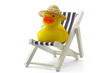 ente auf liege