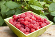 Photo: raspberries raspberries