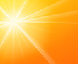 Sunny Sunshine