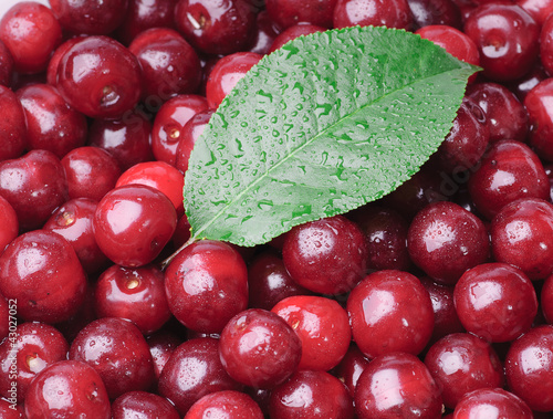 Photo: Cherry Cherry