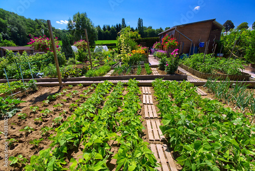 Photo: Potager bio. Potager bio.