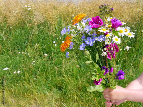 Photo: Blumenstrauß in Kinderhand Blumenstrauß in Kinderhand