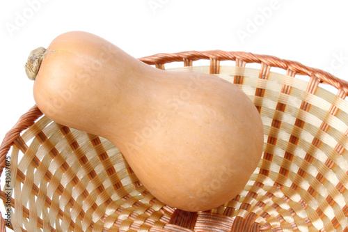Photo: Butternut Pumpkin in Basket Butternut Pumpkin in Basket