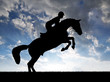 silhouette of a rider on a jumping horse