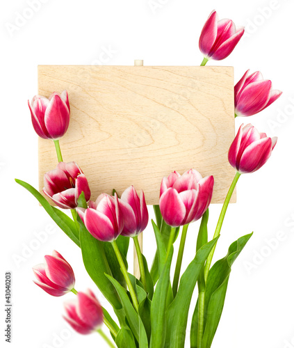 Photo: Beautiful Tulips and Empty Sign for message / wooden panel / iso Beautiful Tulips and Empty Sign for message / wooden panel / iso