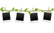 vector blank photo frames with creeper