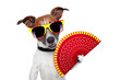 spanish dog