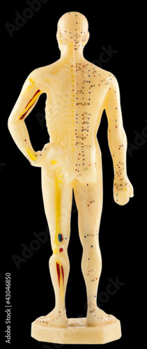 Photo: mannequin de médecine chinoise, face dorsale mannequin de médecine chinoise, face dorsale