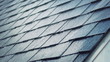 Rainy Day Roof