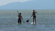 Paddle boarding couple on lake