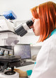 Foto: reseacher reseacher