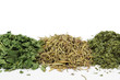 Close up on piles of various herbs