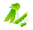 Vector: vector icon bean vector icon bean