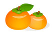 vector icon persimmon