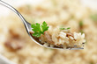 Foto: Cep Risotto on a fork Cep Risotto on a fork