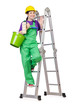 Woman worker standing on ladder