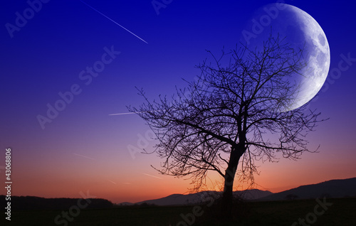 Photo: Paysage Paysage