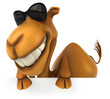 Fun camel
