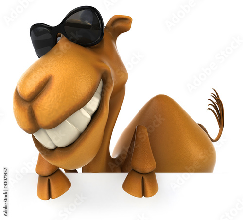 Illustration: Fun camel Fun camel