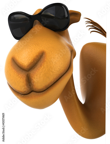 Illustration: Fun camel Fun camel