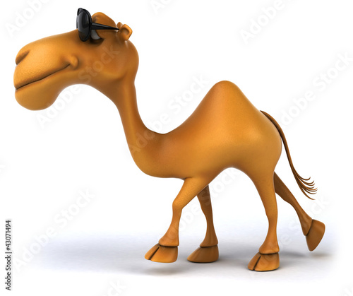 Illustration: Fun camel Fun camel