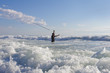 Surf fisherman into the waves