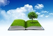 Open 3D book with tree on green grass field, conceptual idea