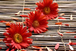Photo: Red flower with petals in the spa Red flower with petals in the spa