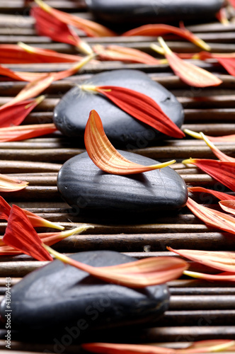 Photo: Row of stones with red petals on mat Row of stones with red petals on mat